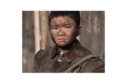 《我的特一营》全剧免费观看，精彩剧情尽在掌握！