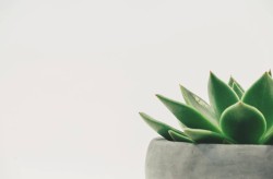 海角社区具体位置介绍与周边环境分析，便捷交通与生活配套一览