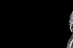 海角社区老刘视频：探索社区生活与人情互动的精彩瞬间