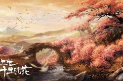 如何有效删除海角社区评论？操作指南与注意事项