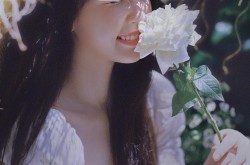 《91入口国产：畅享优质内容与安全体验的完美结合》