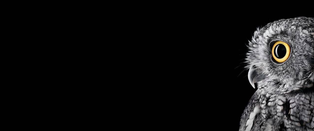 海角社区老刘视频：探索社区生活与人情互动的精彩瞬间
